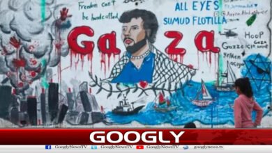 87 flotilla workers go on hunger strike in Israeli custody