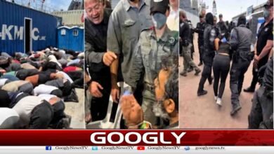 Members of the Gaza Global Resistance Flotilla released from Israeli captivity
