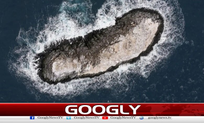 Scientists have discovered the secret of Antarctica