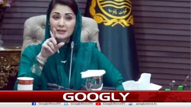 New law prepared against hooliganism, hooliganism, will be severely punished