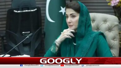 Maryam Nawaz inaugurates Punjab Pavilion at World Urban Forum