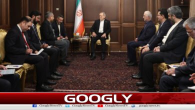 Mohsin Naqvi meets separately with Iranian President and Speaker in Tehran