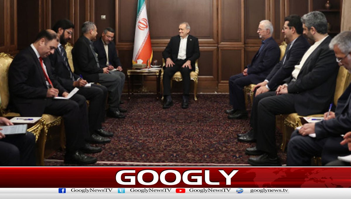 محسن نقوی کی تہران میں ایرانی صدر اورسپیکرسےعلیحدہ علیحدہ ملاقات