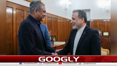 Interior Minister Mohsin Naqvi and Iranian Foreign Minister Abbas Araqchi hold important meeting