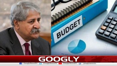 Naveed Qamar expresses concern over budget preparations and government economic policy