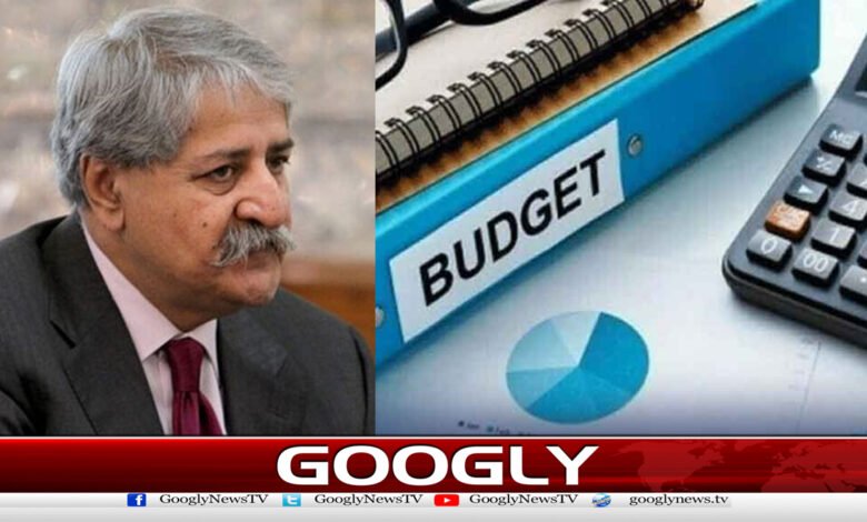 نوید قمر کابجٹ تیاریوں اورحکومتی معاشی پالیسی پرتشویش کااظہار 1 Naveed Qamar expresses concern over budget preparations and government economic policy