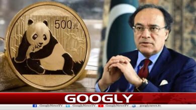 Implementation of Panda Bond marks beginning of new era in Pak-China relations, says Finance Minister
