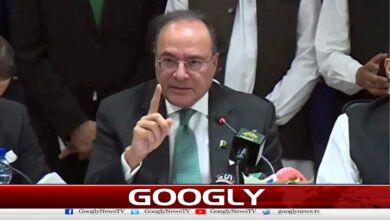 Pakistan issues $250 million panda bond