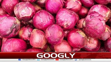 Experts advise using red onions to prevent heatstroke