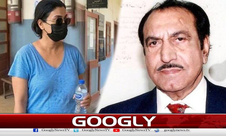 پنکی الیکشن جیت کروزیر نہ بن جائے، مصطفیٰ قریشی 1 Pinky should not become Crozier if she wins the election, Mustafa Qureshi