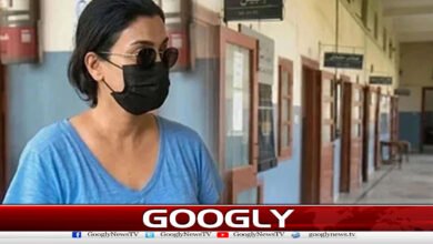 Copies of Pinky's identity documents surfaced
