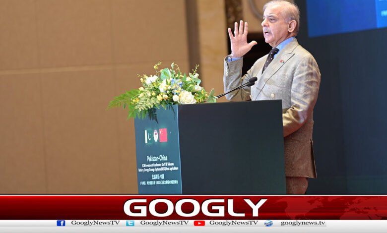 Pakistan needs expertise and investment, not loans: Shahbaz Sharif