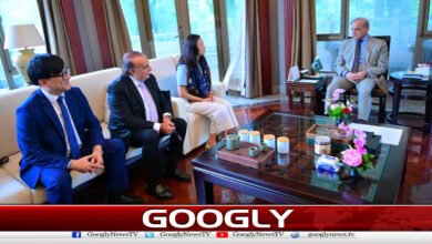 Shahbaz Sharif meets with top officials of Chinese companies in Hangzhou