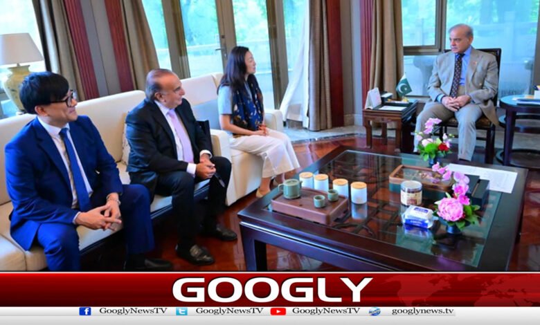 شہباز شریف کی ہانگژو میں چینی کمپنیوں کے اعلیٰ حکام سے ملاقاتیں 1 Shahbaz Sharif meets with top officials of Chinese companies in Hangzhou
