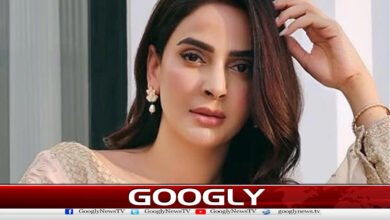 There is a special joy in incompleteness, Saba Qamar
