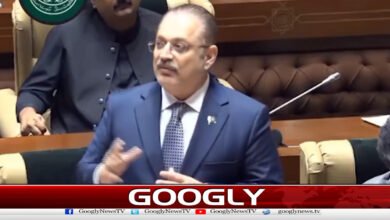 The federation should not abuse Sindh in the matter of load shedding, Sharjeel Memon