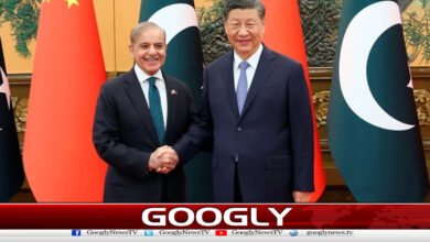 Schedule of Prime Minister Shehbaz Sharif's visit to China released