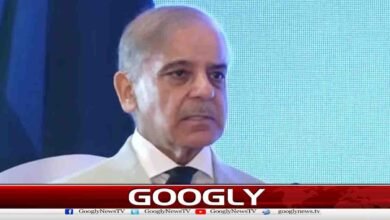 China has provided selfless and unwavering support to Pakistan in every difficulty, says Prime Minister