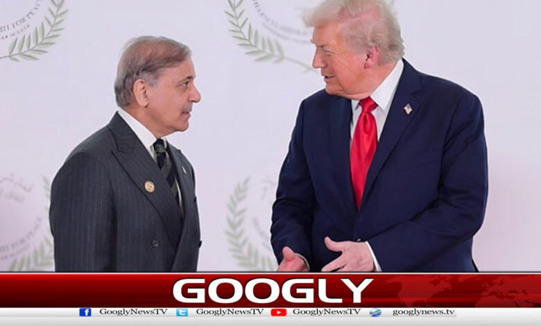 Shehbaz Sharif thanks Trump for stopping Project Freedom