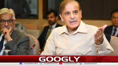 Prime Minister: Facilities should be created for industrial and domestic electricity consumers