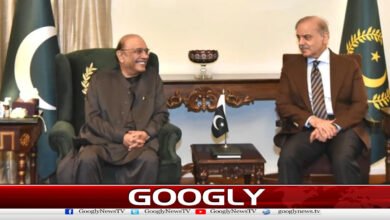 Prime Minister meets with President, discusses political issues