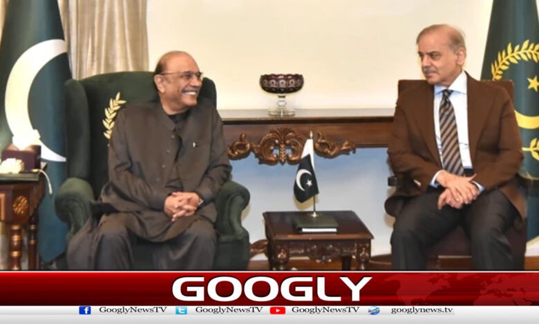 Prime Minister meets with President, discusses political issues
