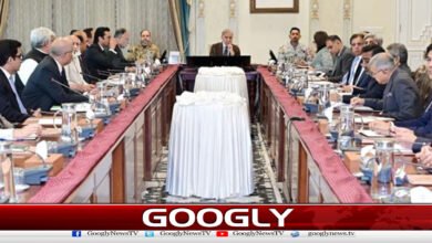 A strategy should also be made for the promotion of industries, says Shahbaz Sharif