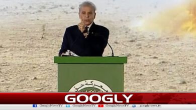 Prime Minister announces May 10 as the Day of Struggle for Justice