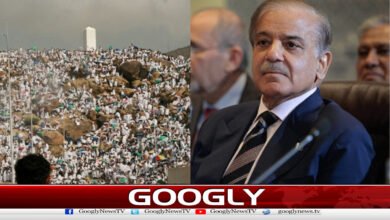 Prime Minister Shehbaz Sharif congratulates pilgrims on Hajj