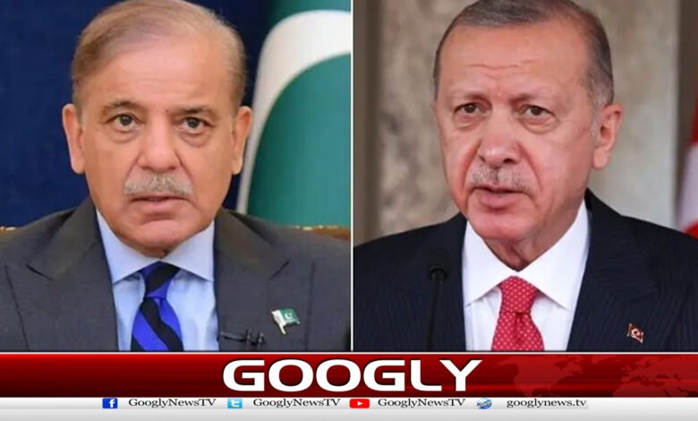 Prime Minister calls Turkish President, discusses regional situation