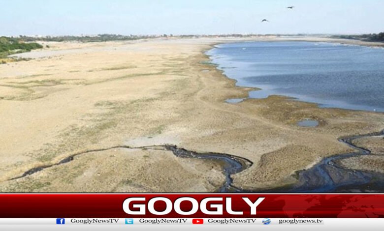 Water crisis serious, Sindh seeks help from the federal government
