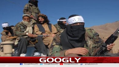 website Googly 117