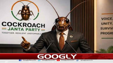 website Googly 131