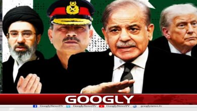 website Googly 31