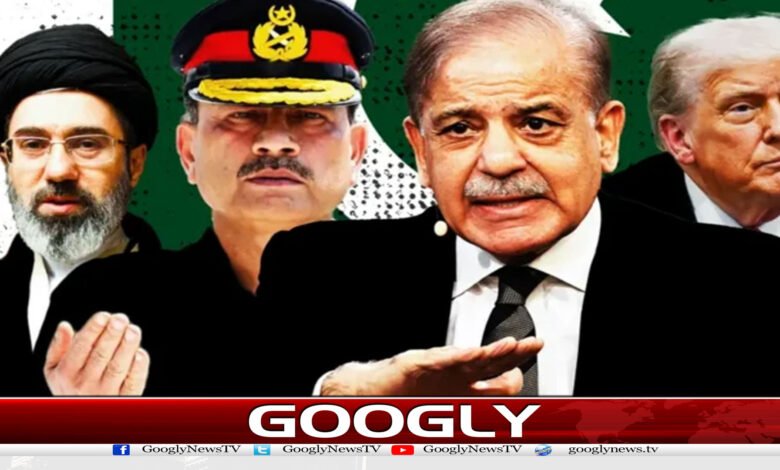 website Googly 31