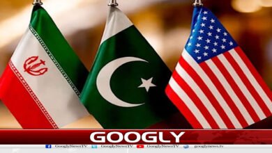 website Googly 43