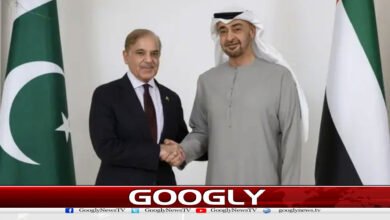 website Googly 47