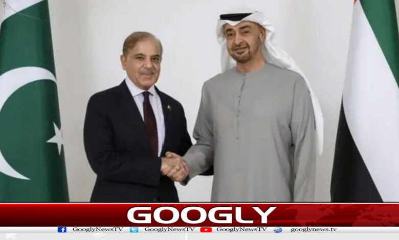 website Googly 47