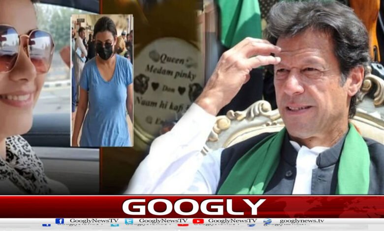 کیا واقعی عمران خان بھی پنکی کے کسٹمرز میں شامل تھے؟ 1 website Googly 71