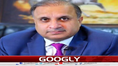 website Googly 74