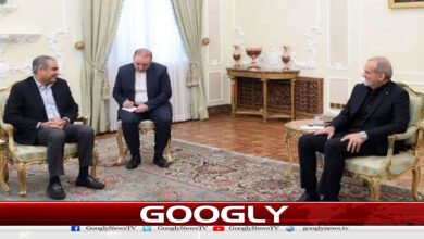 محسن نقوی کی ایرانی صدر سے طویل ملاقات میں کیاطے پایا؟ 2 website Googly 82