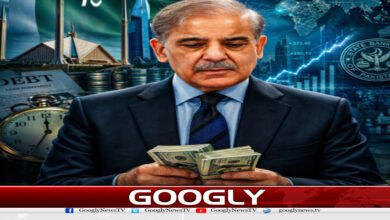website Googly 84