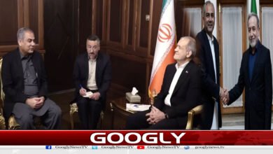 وزیر داخلہ محسن نقوی کا دورۂ ایران آخر اتنا اہم کیوں؟ 2 website Googly 95