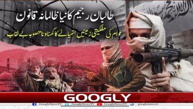 website Googly Recovered 50