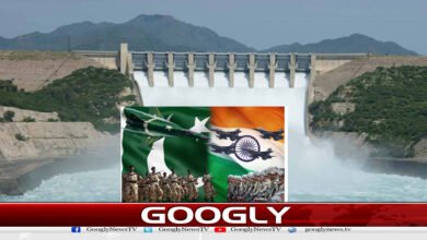 website Googly Recovered 64