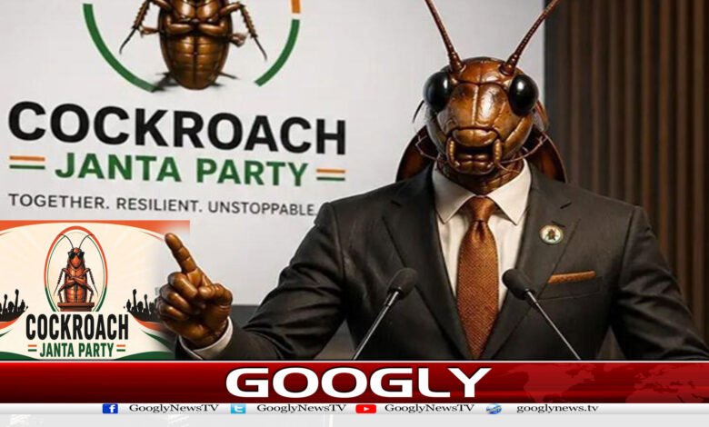 website Googly Recovered 66