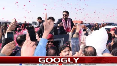 website Pic 1 31
