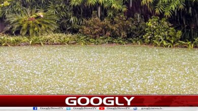 website Pic 1 45