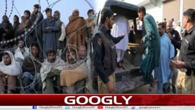 website Pic 1 48