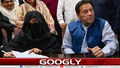 website Pic 1 54